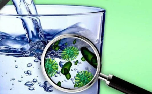 Coliform là gì? Cách phòng ngừa vi khuẩn coliform trong nước