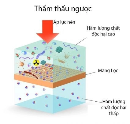 nuoc-ro-la-gi-5