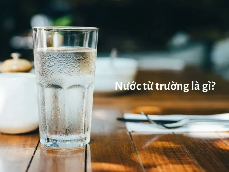 Nước từ trường là gì? Uống nước từ trường có thực sự tốt?